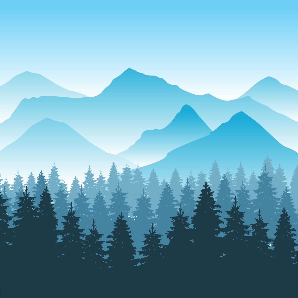 Abstract hiking adventure vector background with mountain and forest. Nature park for travel outdoor illustration